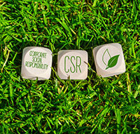 AdobeStock_363208325